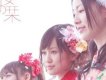 桜の栞