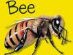 Bee&nbsp;Gees圖片照片