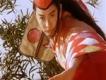 紳士的品格歌曲歌詞大全_紳士的品格最新歌曲歌詞