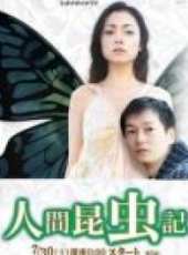 美波演過的電影電視劇線上看_影視作品大全_好看的明星