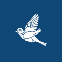 Bluebird專輯_Canyon CityBluebird最新專輯