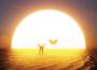 Never Give Up On You (with Elle Vee)專輯_SLANDERNever Give Up On You (with Elle Vee)最新專輯