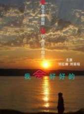 最新2012內地電影_2012內地電影大全/排行榜_好看的電影