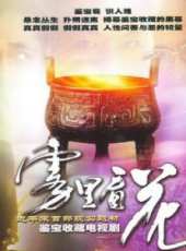 宋佳演過的電影電視劇線上看_影視作品大全_好看的明星