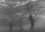 Drowning專輯_sapientdreamDrowning最新專輯