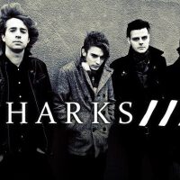 Sharks圖片照片_Sharks