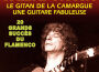 Flaming Flamenco專輯_Manitas de PlataFlaming Flamenco最新專輯