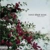 Never Shout Never歌曲歌詞大全_Never Shout Never最新歌曲歌詞