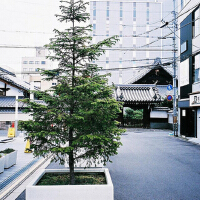 Chasing Cars圖片照片_Chasing Cars