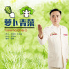 雷彬歌曲歌詞大全_雷彬最新歌曲歌詞