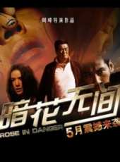 鄧寧演過的電影電視劇線上看_影視作品大全_好看的明星