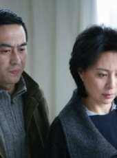 金鑫最新電視劇_金鑫電視劇作品全集線上看_好看的電視劇