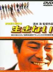 大河內奈奈子演過的電影電視劇線上看_影視作品大全_好看的明星