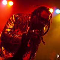 Skindred圖片照片_Skindred