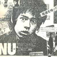 INU圖片照片_INU