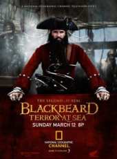 傳奇海盜黑鬍子船長線上看_高清完整版線上看_好看的電影