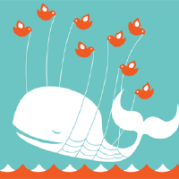 Freelance Whales圖片照片_Freelance Whales