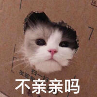 REI泠千夜歌曲歌詞大全_REI泠千夜最新歌曲歌詞
