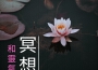 森林裡安靜音樂歌曲歌詞大全_森林裡安靜音樂最新歌曲歌詞