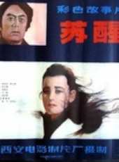 智一桐演過的電影電視劇線上看_影視作品大全_好看的明星