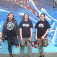 Agathocles圖片照片_Agathocles