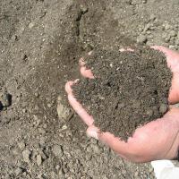 Soil圖片照片_Soil