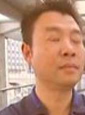 中國好商機最新一期線上看_全集完整版高清線上看_好看的綜藝