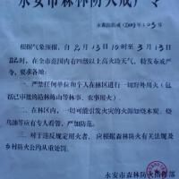 戒嚴令圖片照片_戒嚴令