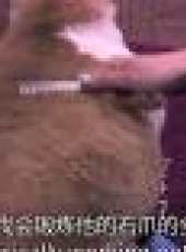 環球趣聞最新一期線上看_全集完整版高清線上看_好看的綜藝