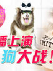 主播真會玩最新一期線上看_全集完整版高清線上看_好看的綜藝