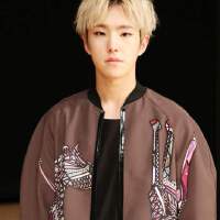 HOSHI SEVENTEEN個人資料介紹_個人檔案(生日/星座/歌曲/專輯/MV作品)