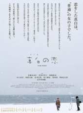 高橋真唯演過的電影電視劇線上看_影視作品大全_好看的明星