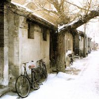 胡同圖片照片_胡同