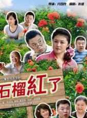 《石榴紅了》線上看_全集高清完整版線上看_分集劇情介紹_好看的電視劇