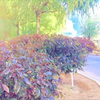 明佳指彈最新歌曲_最熱專輯MV_圖片照片