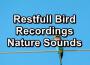Nature Recordings