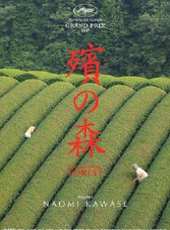 渡邊真起子演過的電影電視劇線上看_影視作品大全_好看的明星