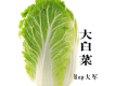 回答歌詞_Rap大軍回答歌詞