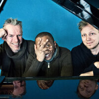 Tingvall Trio圖片照片_Tingvall Trio