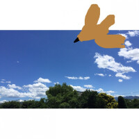 小林桃香歌曲歌詞大全_小林桃香最新歌曲歌詞