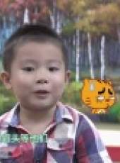 中國少年派 2014最新一期線上看_全集完整版高清線上看_好看的綜藝