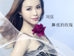 劉星歌曲歌詞大全_劉星最新歌曲歌詞