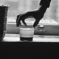 A Whisper In The Noi圖片照片_A Whisper In The Noi