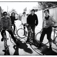 Last Dinosaurs圖片照片_Last Dinosaurs