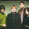 The High Violets