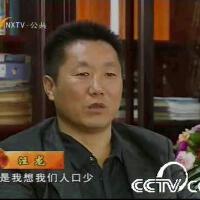 汪龍圖片照片_汪龍