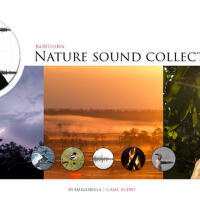 Nature Sound Collection歌曲歌詞大全_Nature Sound Collection最新歌曲歌詞