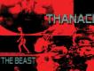 beauty and the beast歌詞_美女與野獸beauty and the beast歌詞