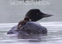 William Ogmundson歌曲歌詞大全_William Ogmundson最新歌曲歌詞