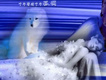 剛輝歌曲歌詞大全_剛輝最新歌曲歌詞